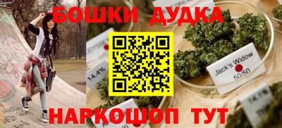 индика Заводоуковск