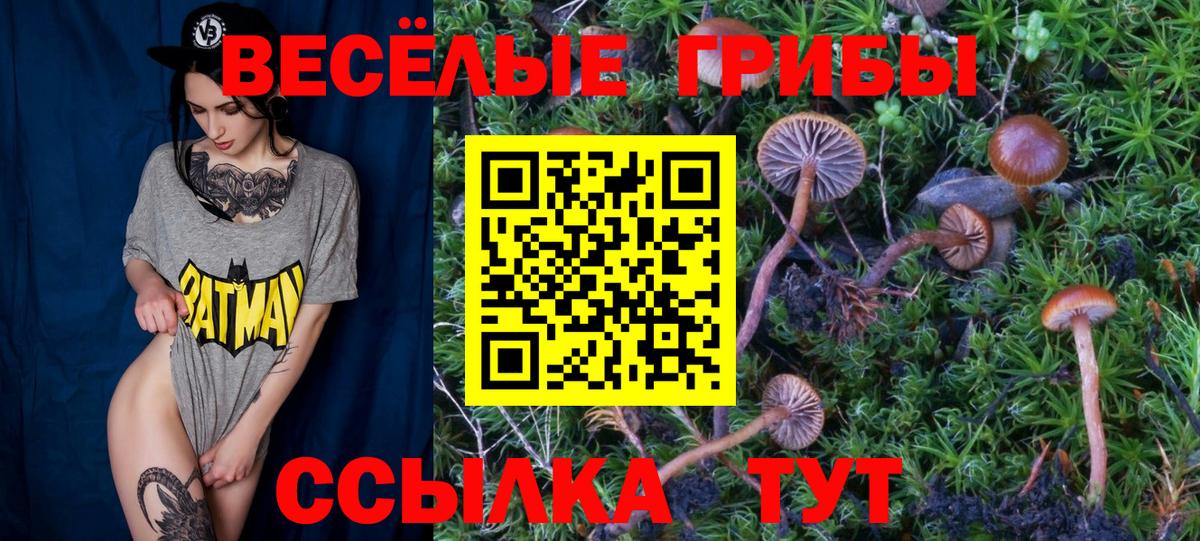 Псилоцибиновые грибы GOLDEN TEACHER Нальчик
