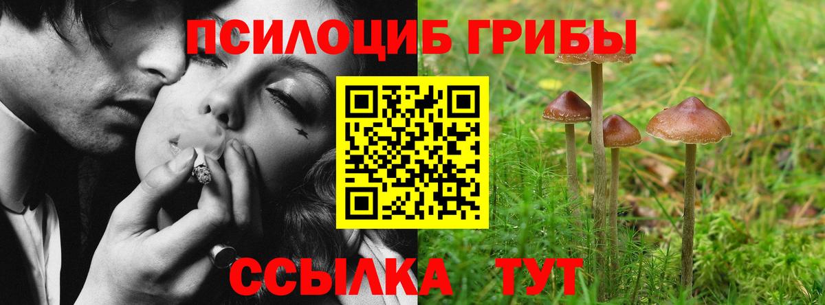 Нальчик  Галлюциногенные грибы ЛСД  Вход с VPN 