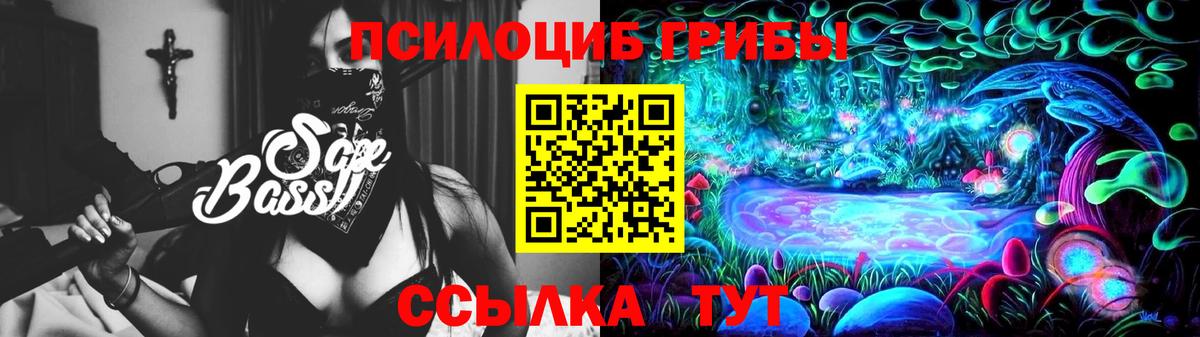 Псилоцибиновые грибы Psilocybe  Нальчик 